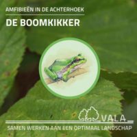 Informatieboekje Boomkikker